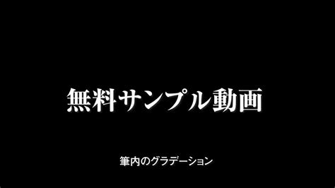 サンプル 動画 無料